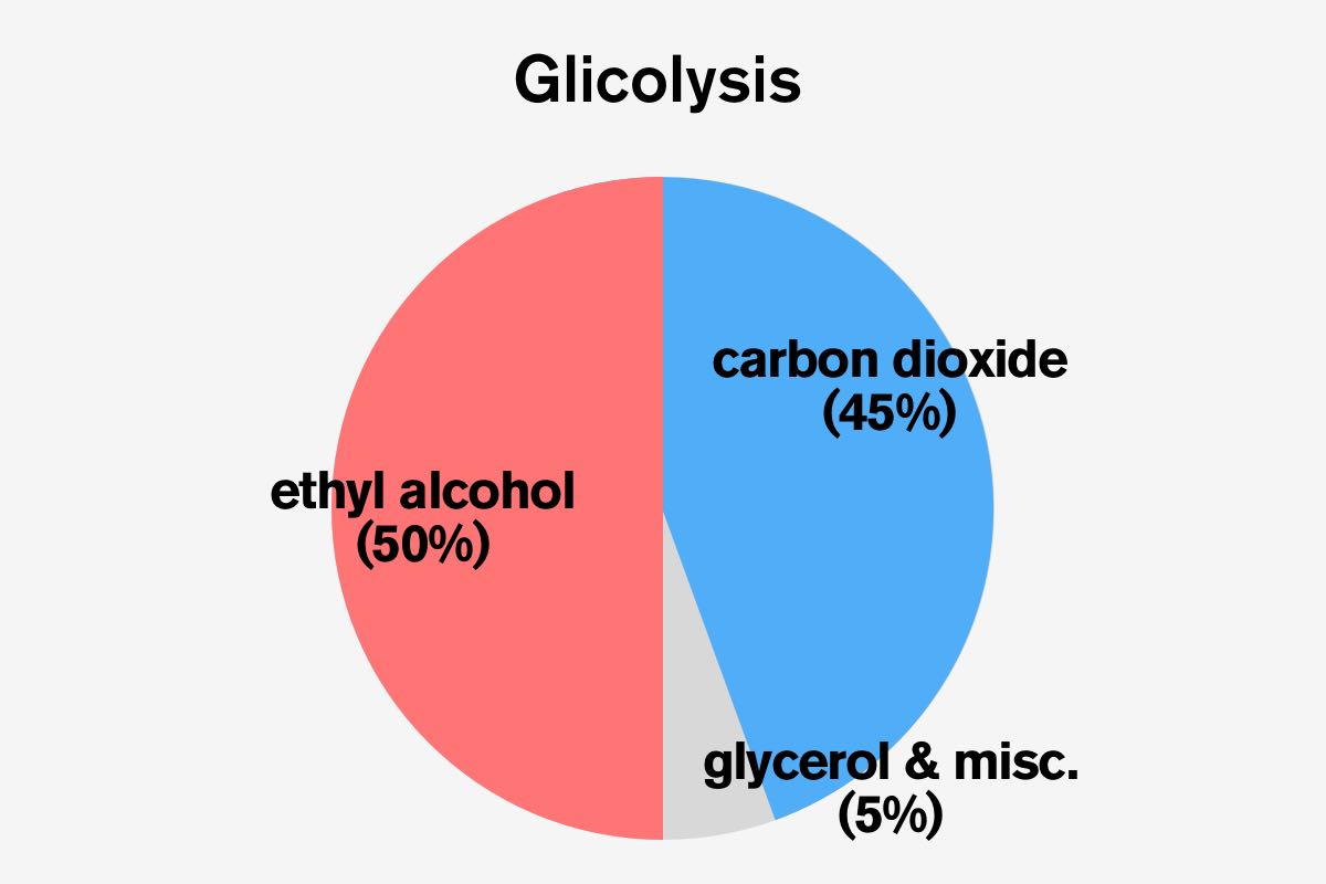 Glicolysis, Natural Wine, Primal Wine - primalwine.com