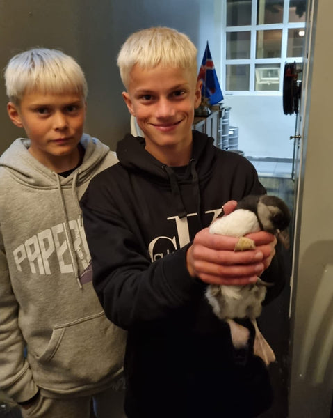 Two boys rescuing a Puffling