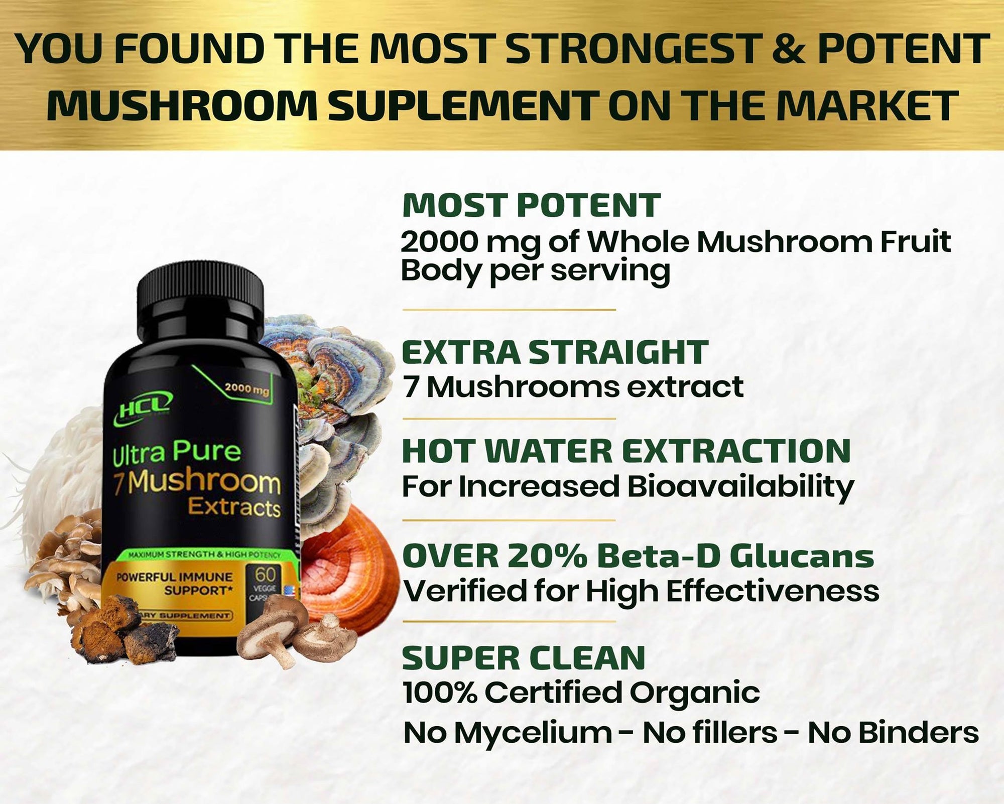 dr allan spreen mushroom extract