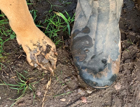 Muddy boots muddy paws 