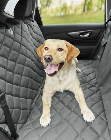 Labrador in the back of a car sitting on a padded car seat cover. 