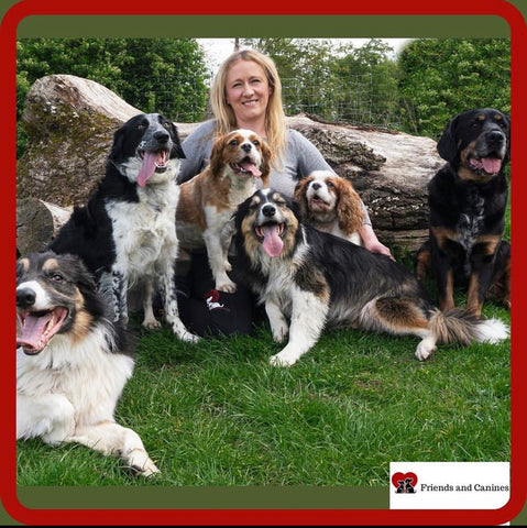 Natural dog treat business owner with her 6 dogs
