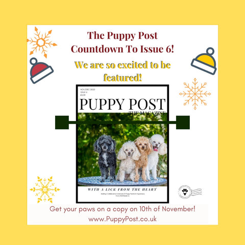 Puppy Post Magazine featuring dogs and their owners and small businesses 