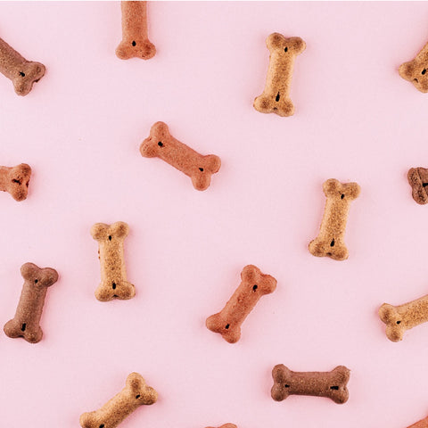 Bone shaped dog treats