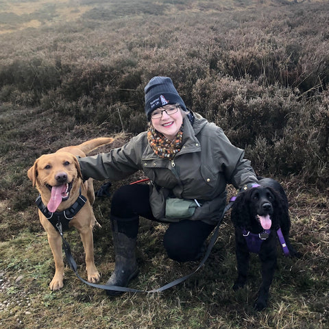 Fox red Labrador and black spaniel out on Cannock Chase with owner Kim wearing their handmade dog collars and accessories