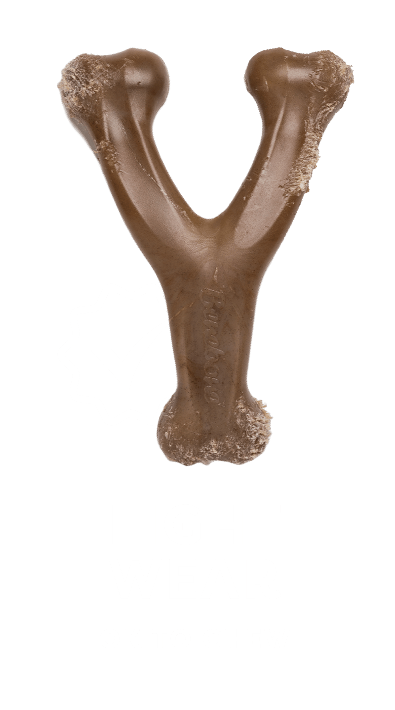 Light Wear OK to chew