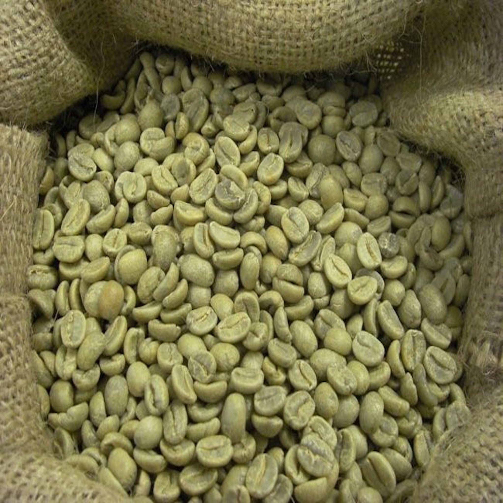 ethiopian coffee beans