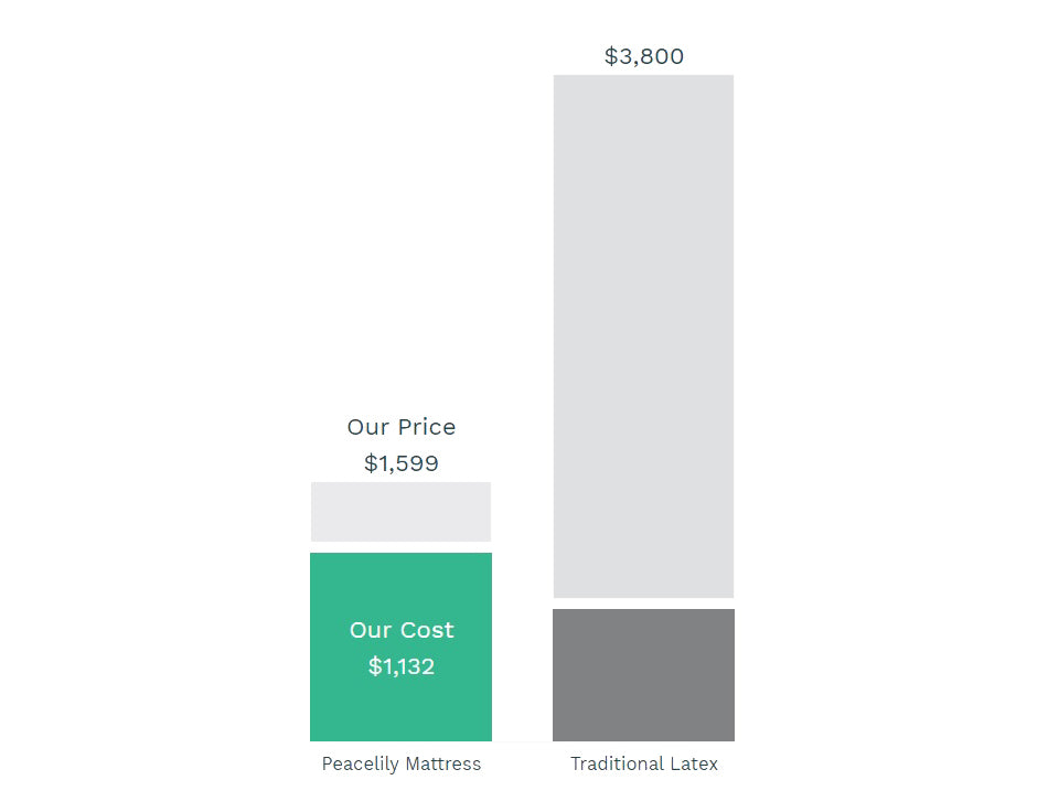 Peace Lily price vs other brands price