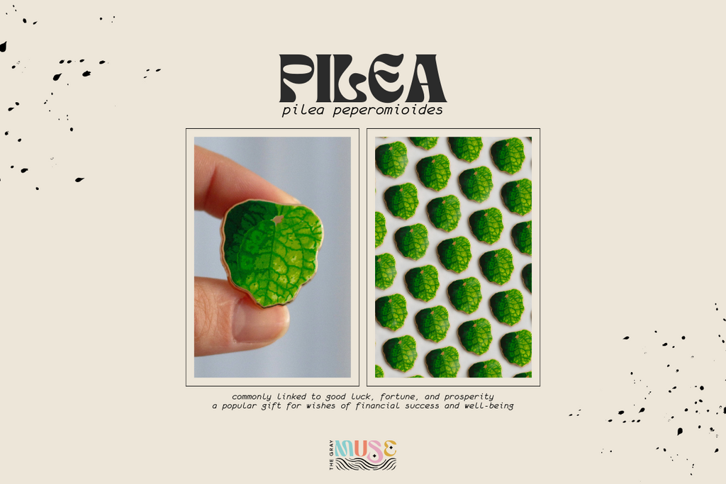 pilea plant enamel pin by the gray muse
