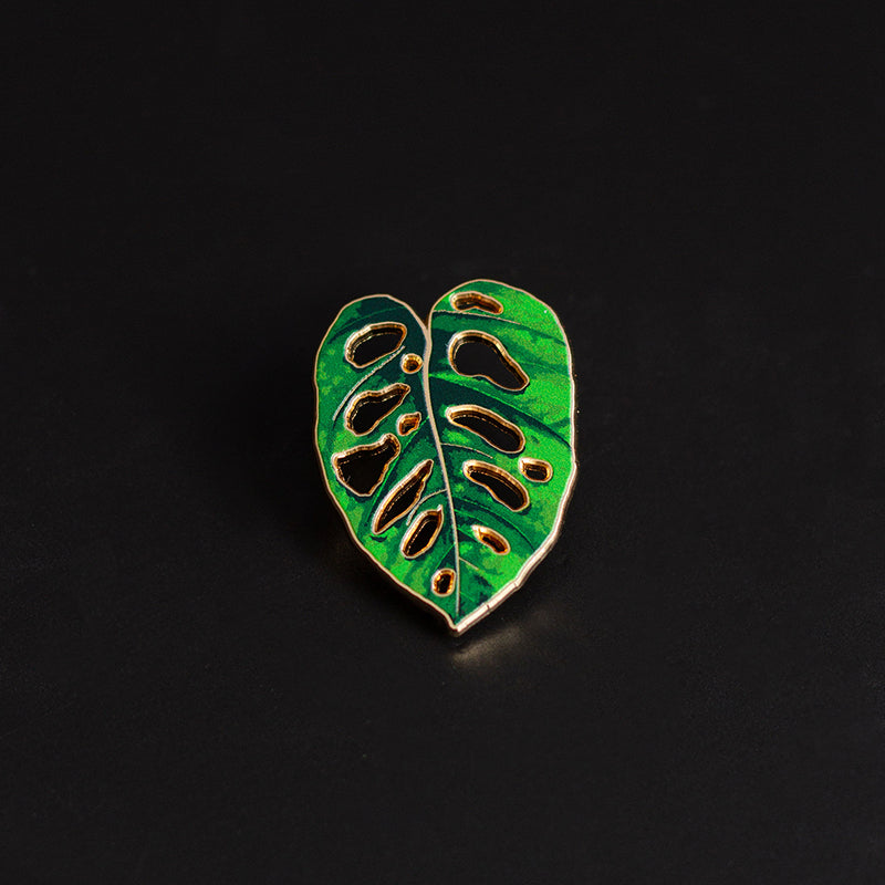 Occasionalish Pothos Plant Enamel Pin | Houseplant Enamel Pin