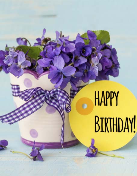 Same day flower delivery Toronto – Toronto flowers gifts - Birthday Flower Gifts