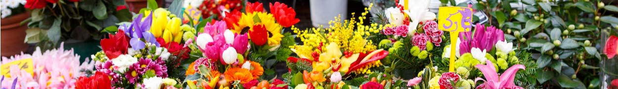 Same day flower delivery Toronto – Toronto flowers gifts - Flower Gifts