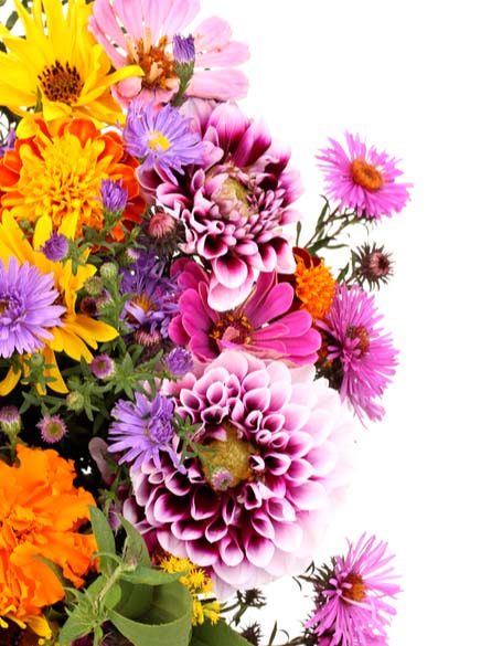 Same day flower delivery Toronto – Toronto flowers gifts -New Year Flower Gifts