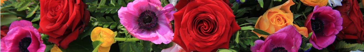 Same day flower delivery Toronto – Toronto flowers gifts -Deals of the Week Gifts