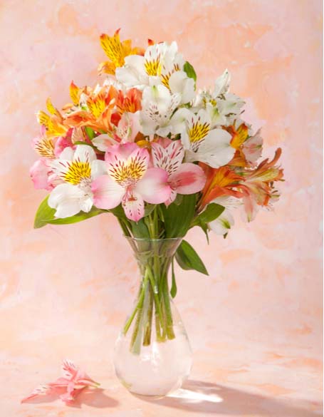 Same day flower delivery Toronto – Toronto flowers gifts - Peruvian Lily Gifts