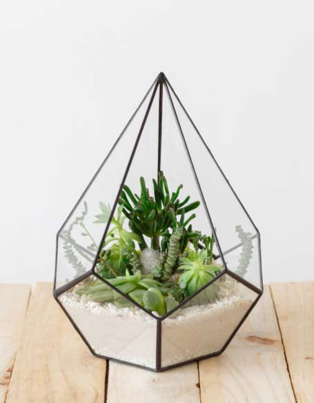 terrarium plant gifts - Flower Gifts New York Blooms