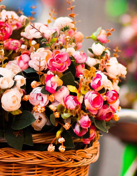 All Plants Gifts - New Jersey Flower Delivery - New Jersey Blooms