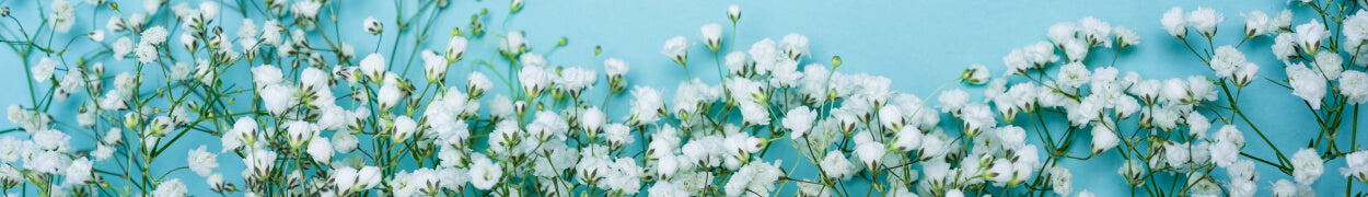 Cadeaux de fleurs d'été livrés au Canada