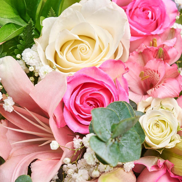 Rose Gifts | Pastel Dreams Mixed Rose Bouquet - Toronto Blooms