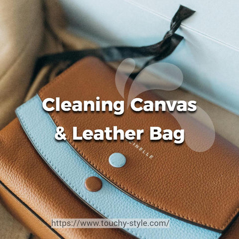 Cleaning Canvas & Leather Bag Touchy Style