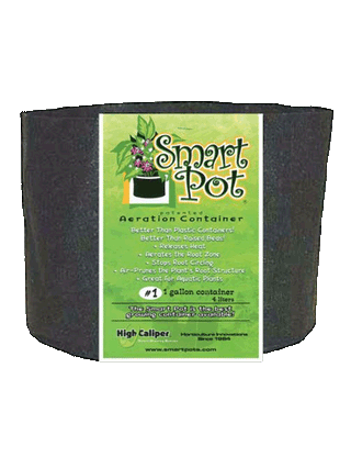 GeoPot Black Velcro Seam Transplanter Fabric Pot 3 Gallon