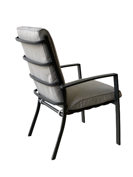 apollo savya chair