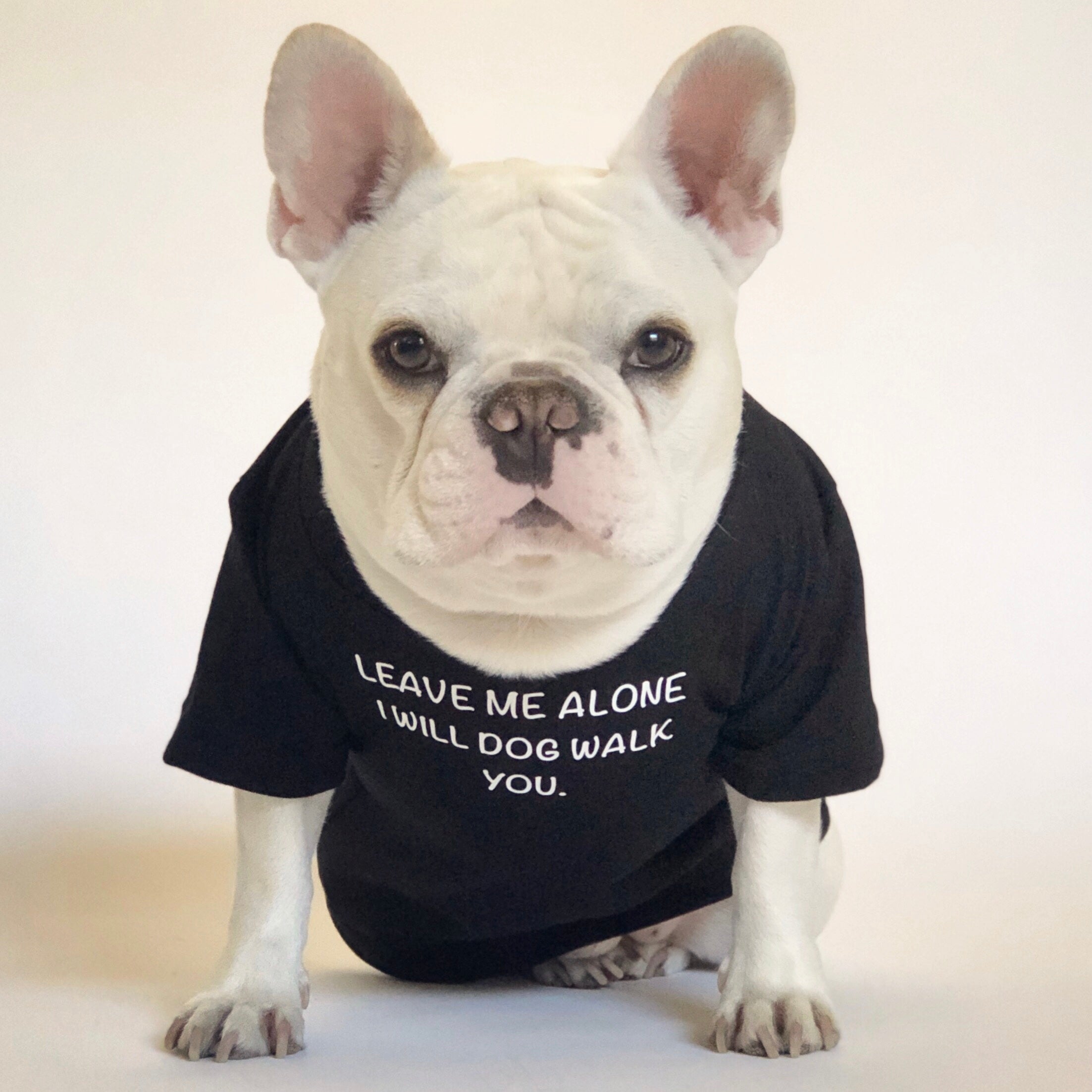 i will dog walk you shirt