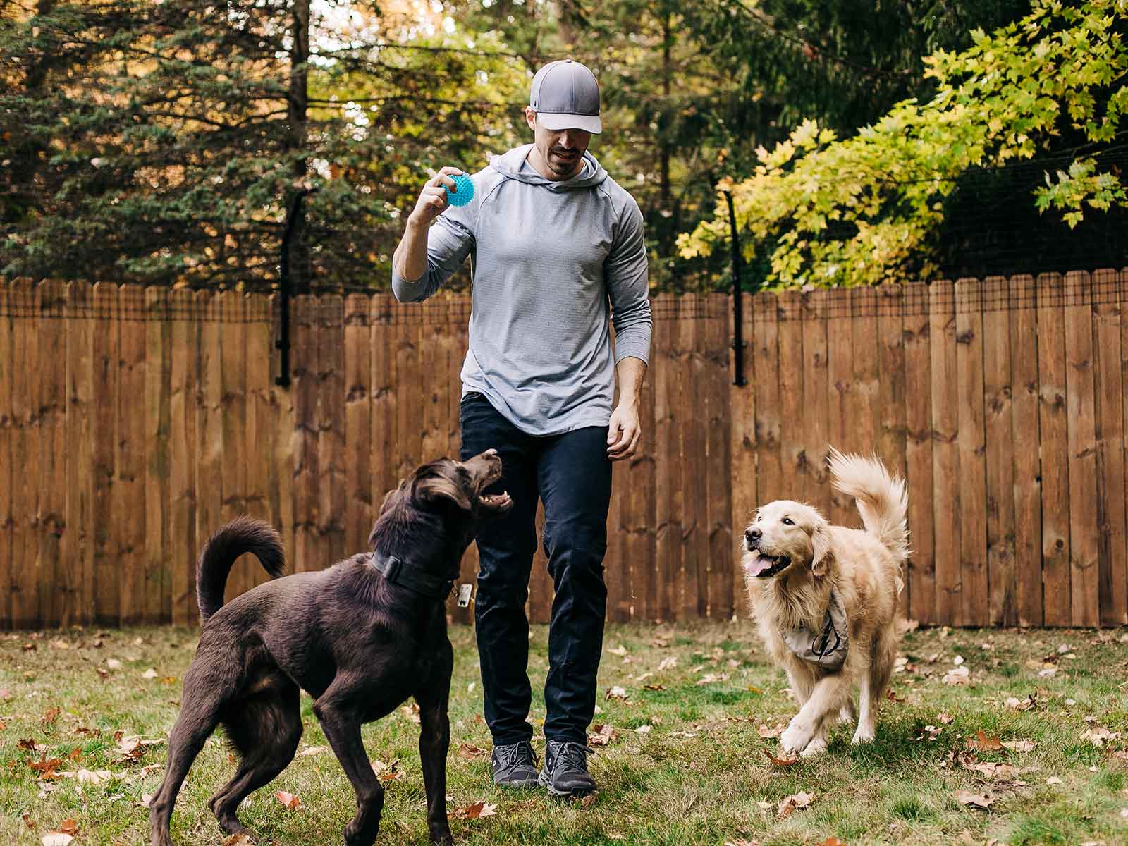 Dog Proofer Curved Fence Extensions on Wood Fence behind man with two dogs