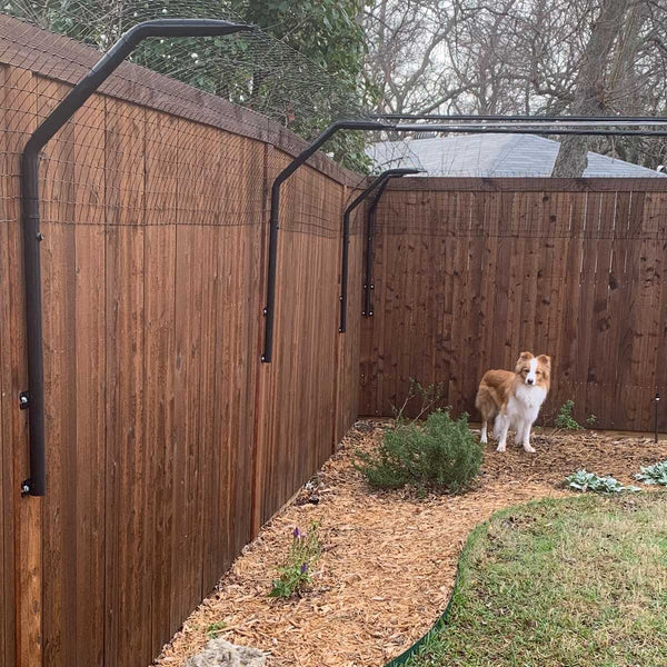A dog inside a wooden fence with a curved top extension