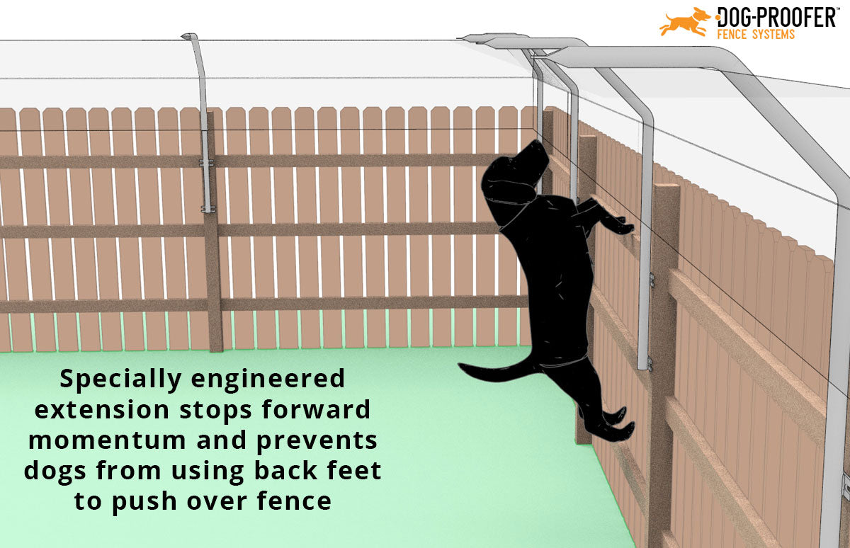 how do i keep my dog from climbing the fence