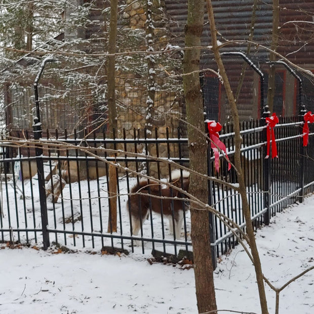 do underground dog fences work under snow