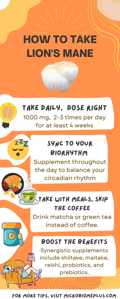 Lion's mane infographic explains how to supplement, step by step