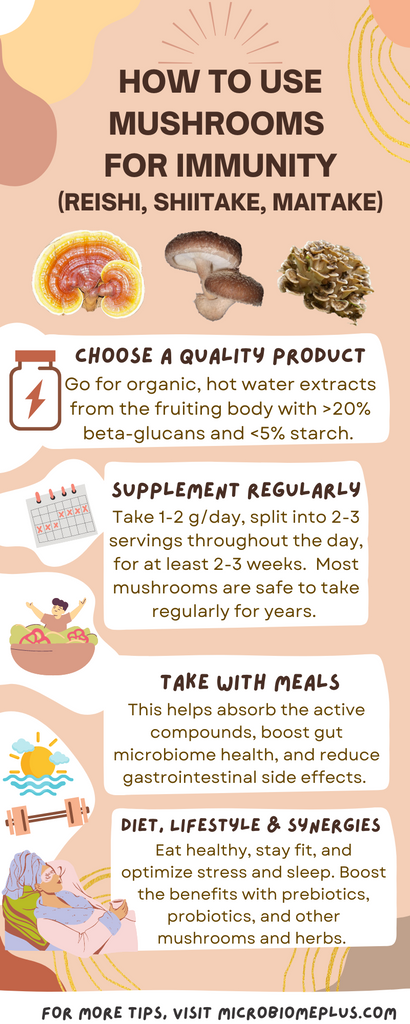 How to take mushrooms for immunity infographic, explains supplementation step by step