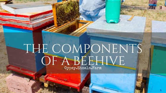 THE COMPONENTS OF A BEEHIVE gypsy shoals farm