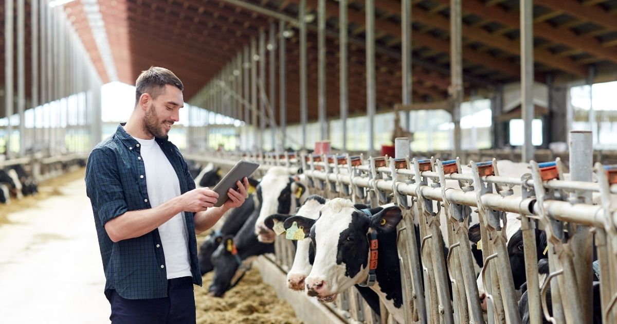 CO2 Safety Monitoring for Dairy Farms