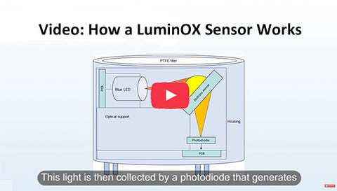 How a LuminOX sensor works