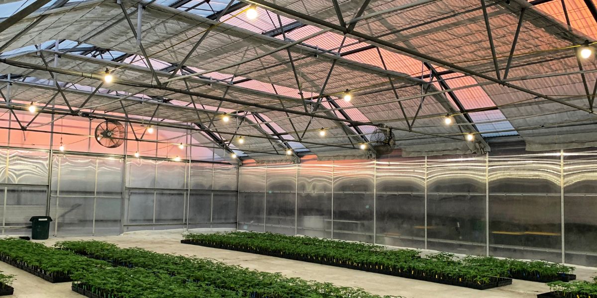 Carbon Dioxide Supplementation in Cultivation Facilities