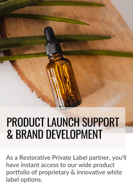 Product Launch Support & Brand Development