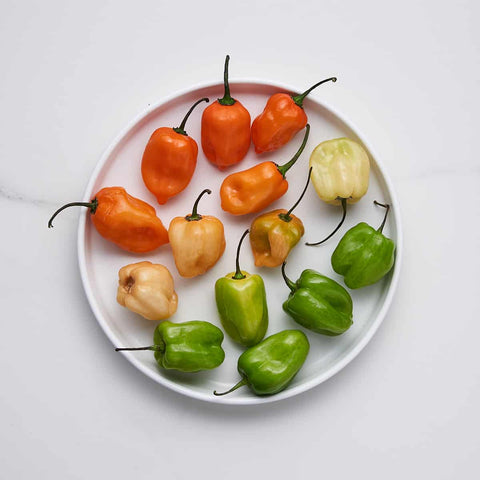 Habanero Pepper Varieties 