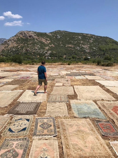 field of carpets