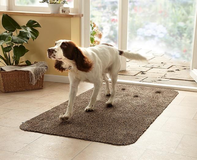 Clean Step Mat Super Absorbent Magic Door Mat Bestdealsaver