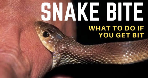 what to do if you get bitten by a snake while hiking