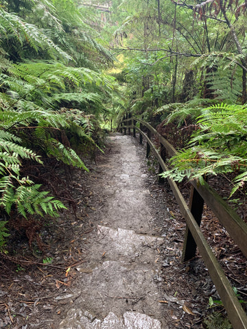 EASY HIKING TRAIL