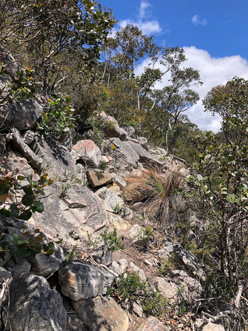 Grampians Peaks trail rough terrain