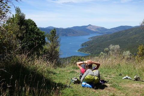 queen charlotte track new zealand