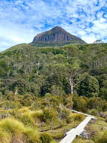 overland track boardwalk 