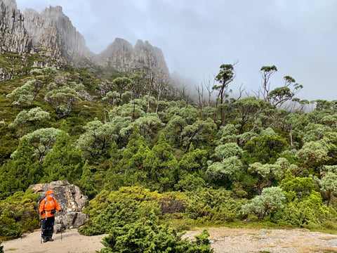 cradle mountain overland track tasmania