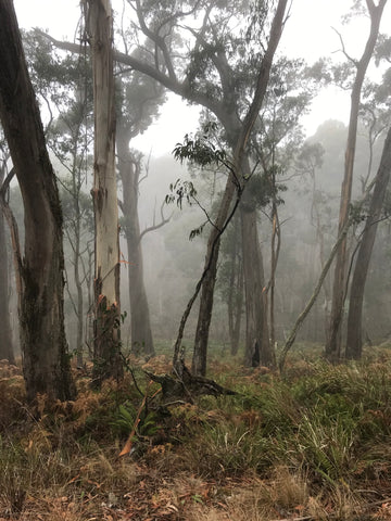 beeripmo campground