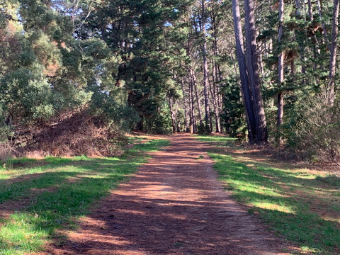 Merricks - Red Hill Rail Trail