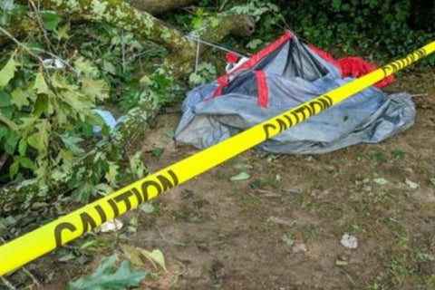 tree falls on tent